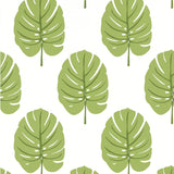 Thibaut MONSTERA Apple Green Wallpaper