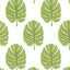 Thibaut MONSTERA Apple Green Wallpaper