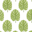 Thibaut Monstera Apple Green Wallpaper