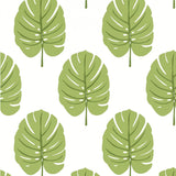 Thibaut Monstera Apple Green Wallpaper