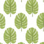 Thibaut Monstera Apple Green Wallpaper
