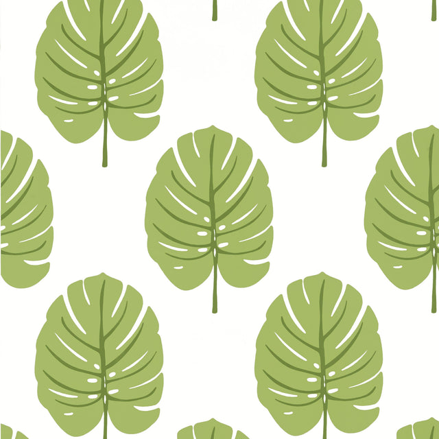 Thibaut Monstera Apple Green Wallpaper
