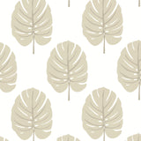 Thibaut MONSTERA Beige Wallpaper