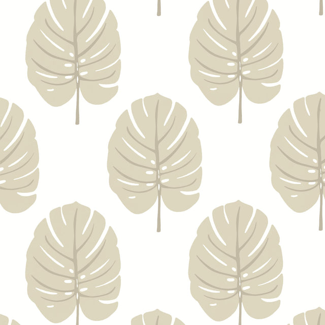 Thibaut MONSTERA Beige Wallpaper