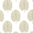 Thibaut Monstera Beige Wallpaper