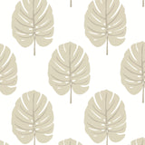 Thibaut Monstera Beige Wallpaper