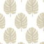 Thibaut Monstera Beige Wallpaper