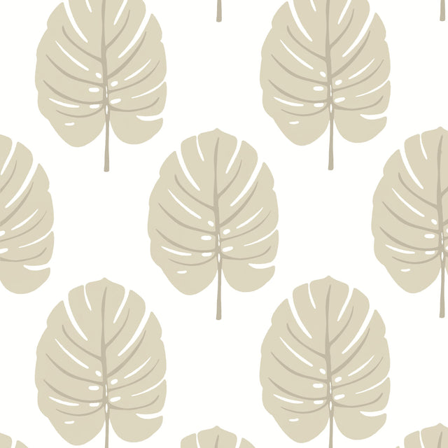 Thibaut Monstera Beige Wallpaper
