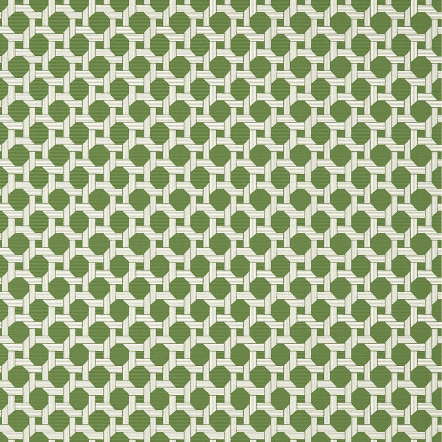Thibaut CHARTER Green Wallpaper