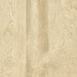 Thibaut Eastwood Cream Wallpaper