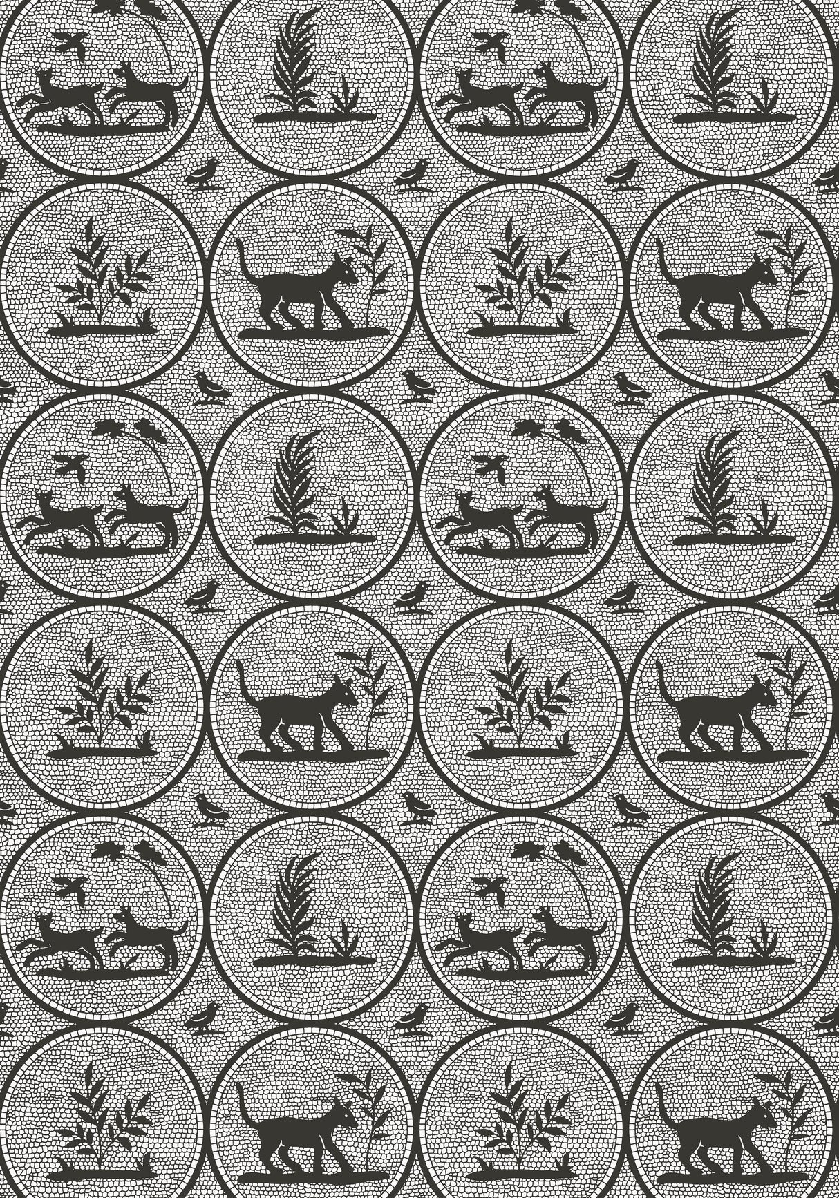 Thibaut DOOLEY Black Wallpaper