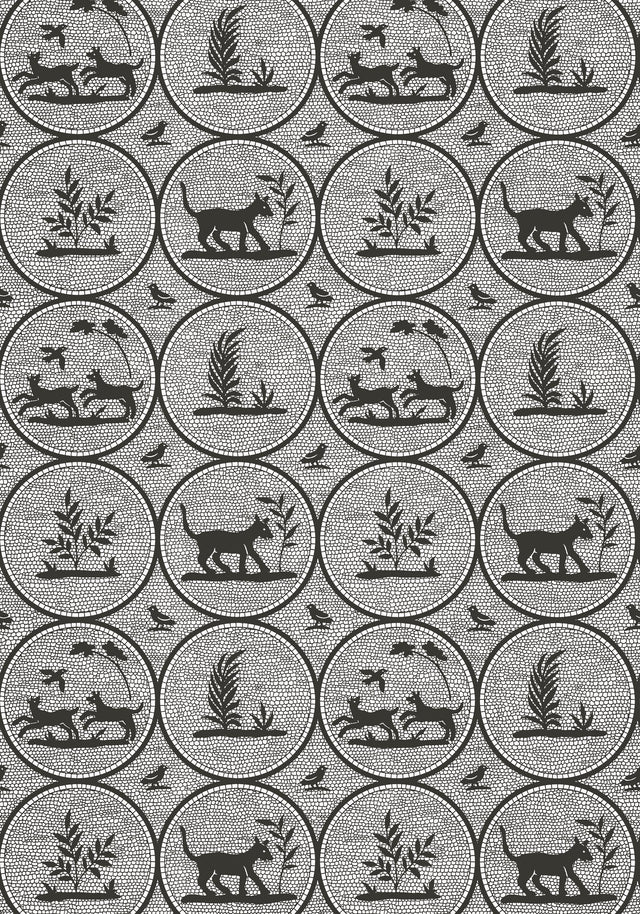 Thibaut DOOLEY Black Wallpaper