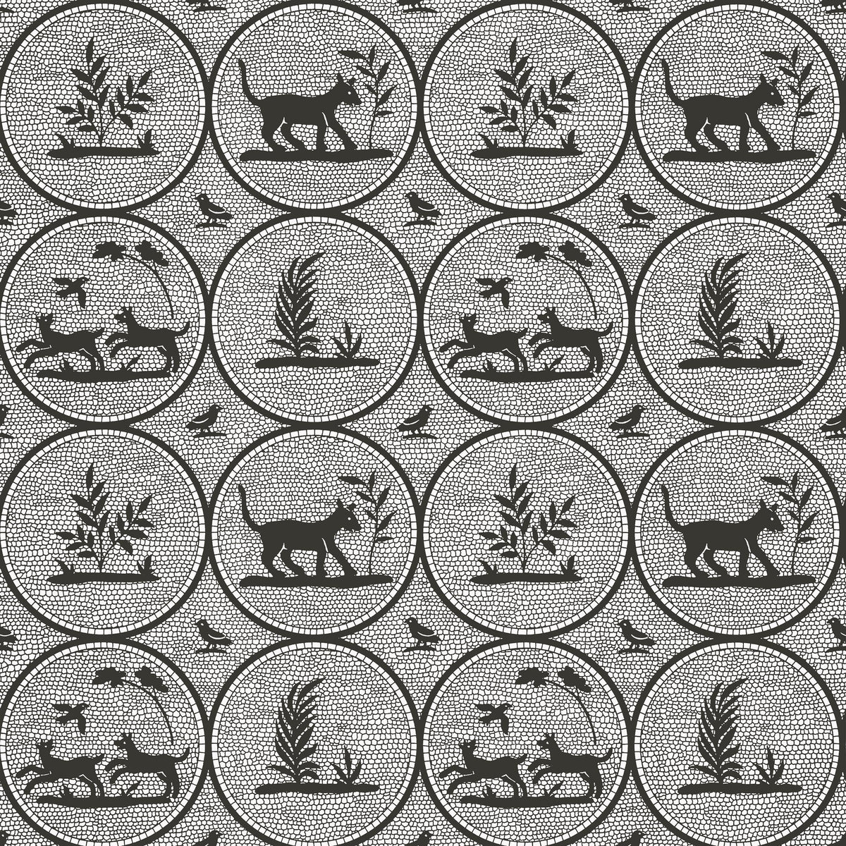 Thibaut Dooley Black Wallpaper