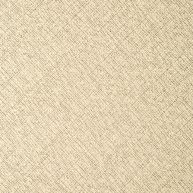 Thibaut Jackson Weave Cashmere Wallpaper