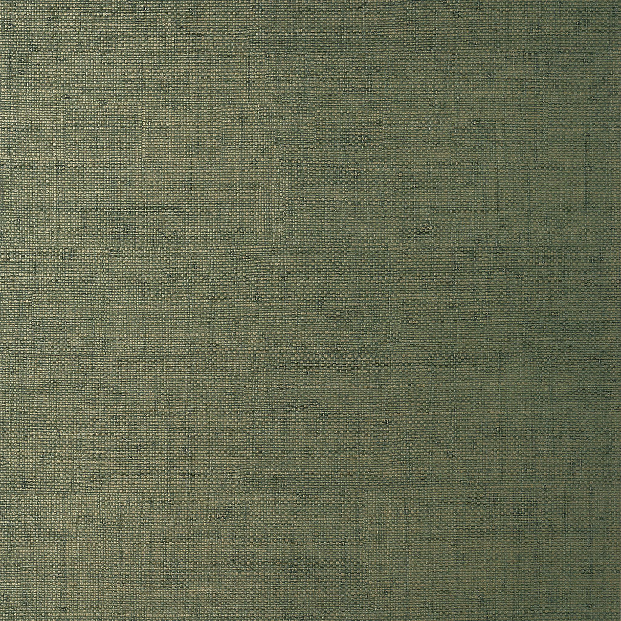 Thibaut BANKUN RAFFIA Forest Wallpaper