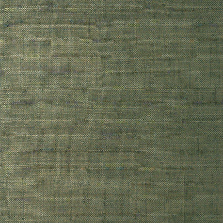 Thibaut BANKUN RAFFIA Forest Wallpaper