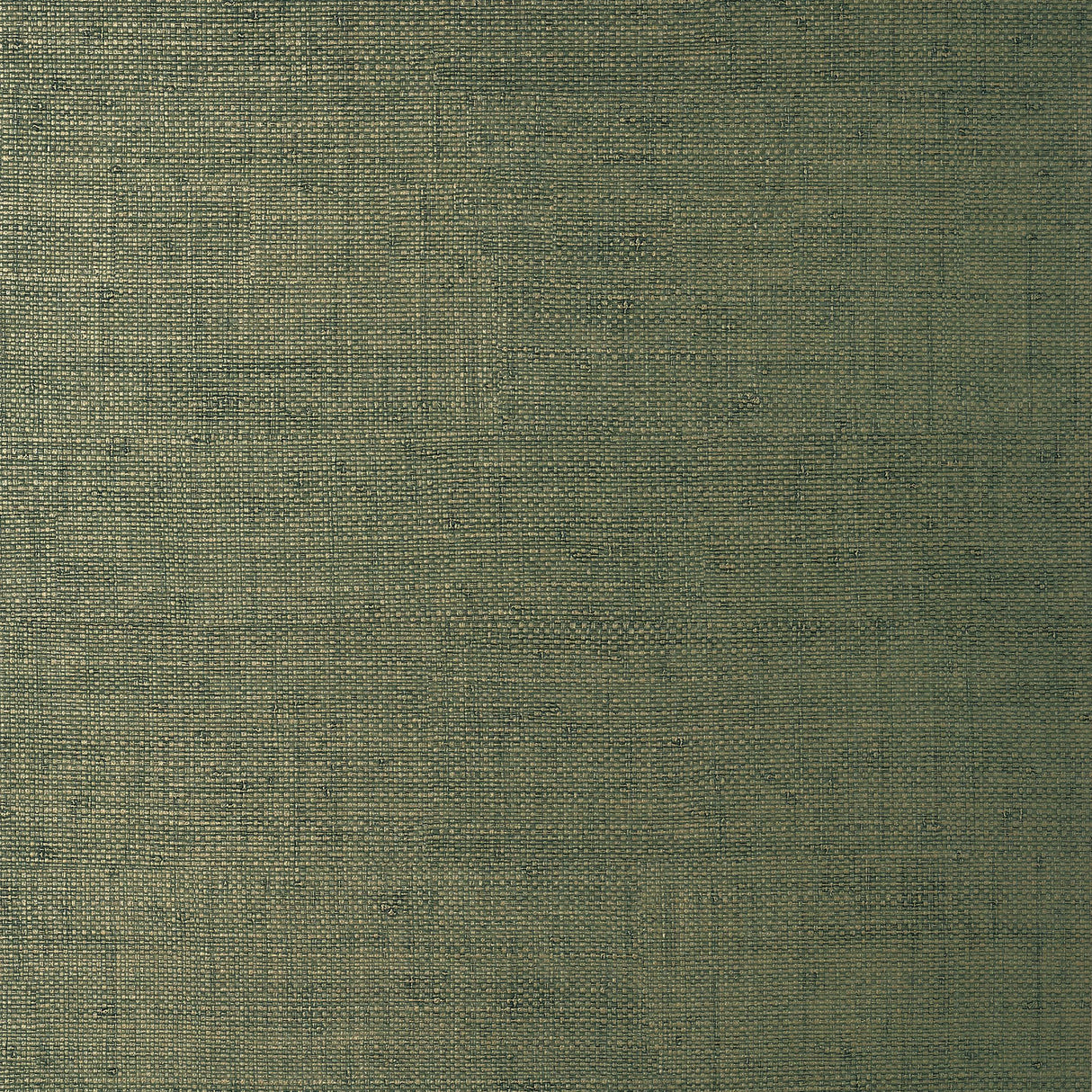 Thibaut Bankun Raffia Forest Wallpaper