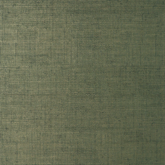 Thibaut Bankun Raffia Forest Wallpaper