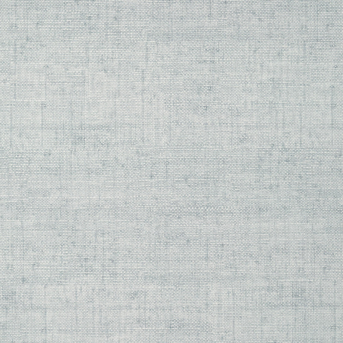 Thibaut Bankun Raffia Glacier Wallpaper