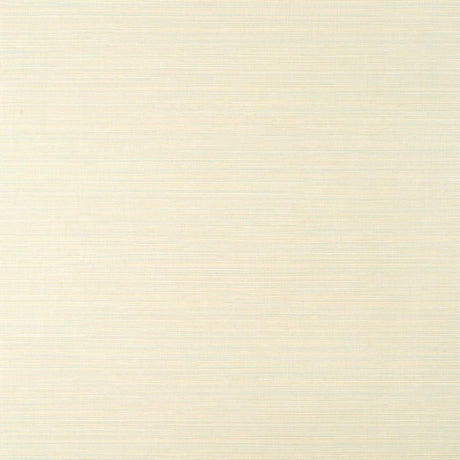 Thibaut LUTA SISAL Off White and Mist Wallpaper