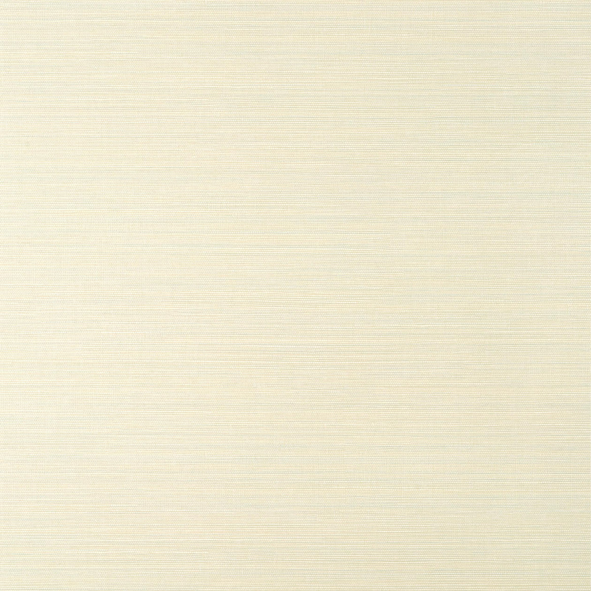 Thibaut Luta Sisal Off White And Mist Wallpaper