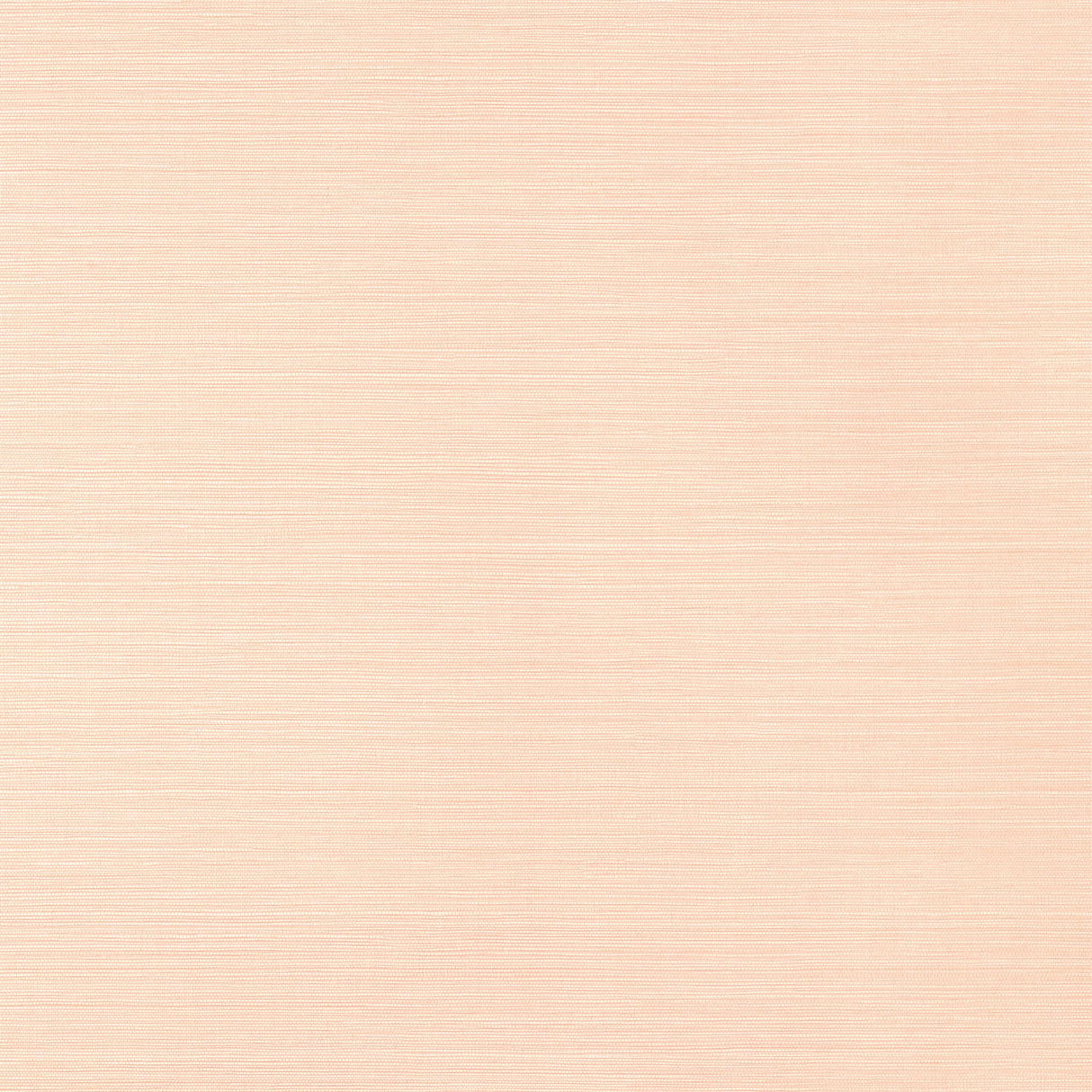 Thibaut LUTA SISAL Blush Wallpaper