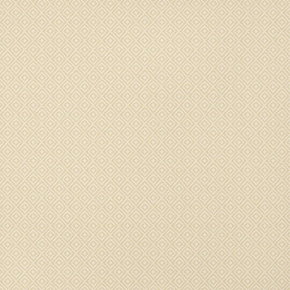 Thibaut Rimba Camel Wallpaper