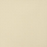 Thibaut Rimba Camel Wallpaper