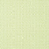 Thibaut Rimba Spring Wallpaper