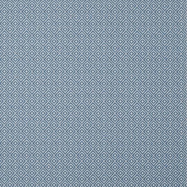 Thibaut Rimba Navy Wallpaper