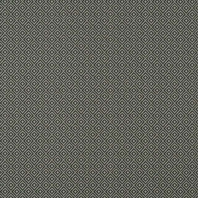 Thibaut RIMBA Black Wallpaper