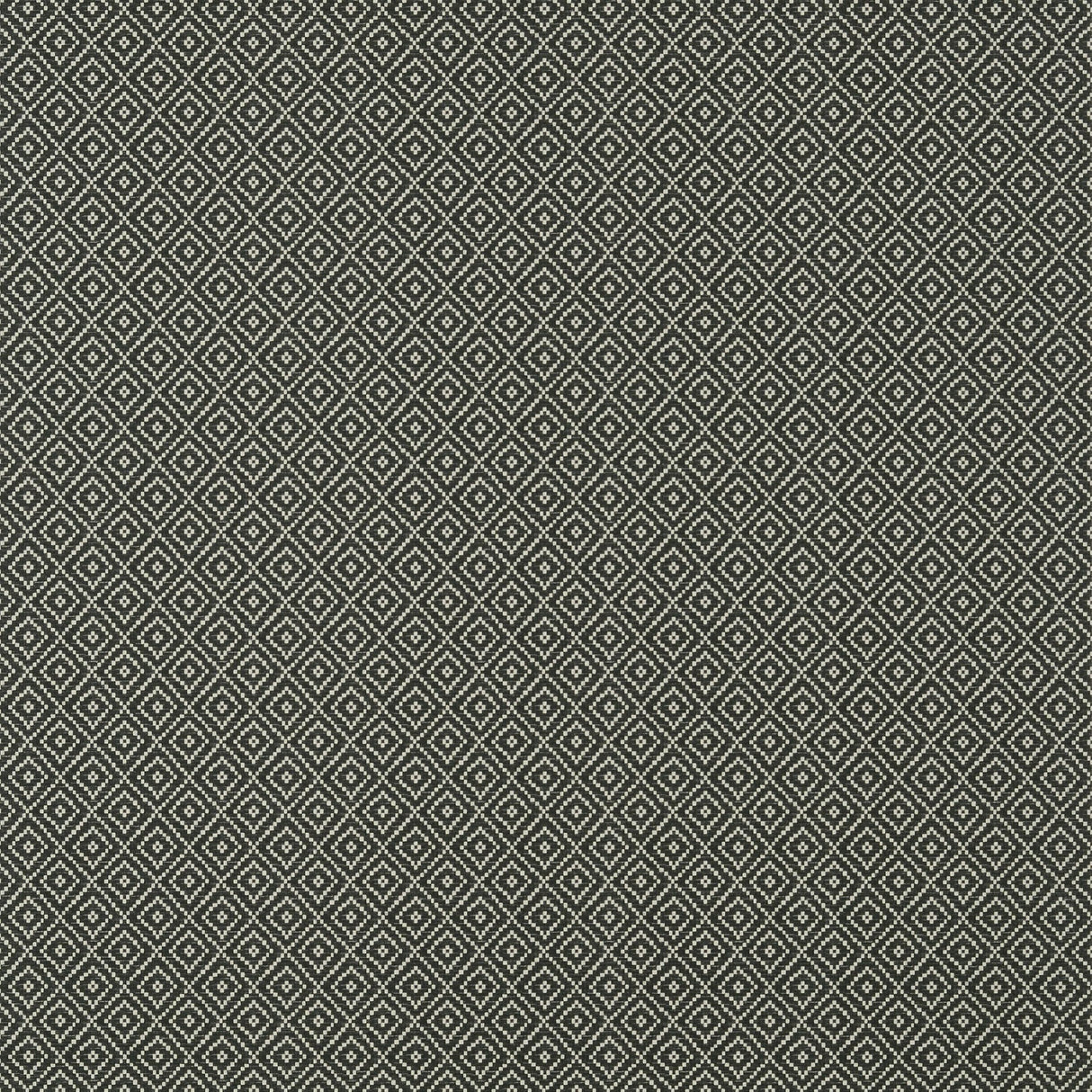 Thibaut Rimba Black Wallpaper