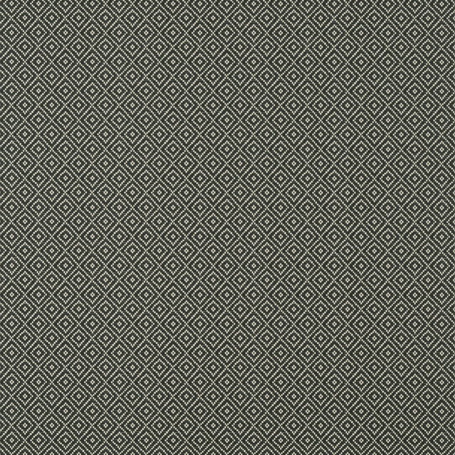 Thibaut Rimba Black Wallpaper
