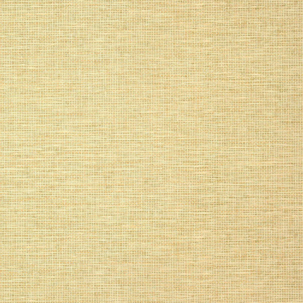 Thibaut SPIRO Straw Wallpaper