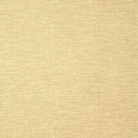 Thibaut SPIRO Straw Wallpaper