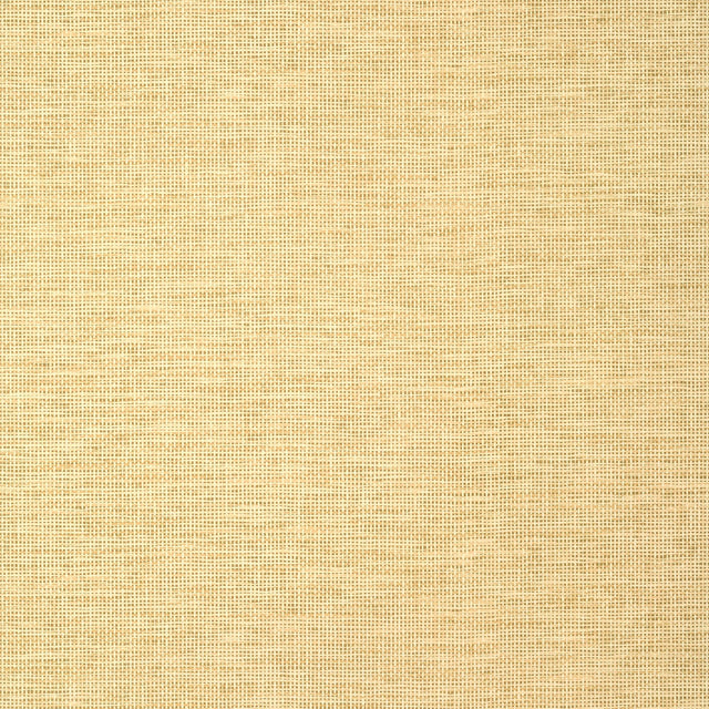 Thibaut SPIRO Straw Wallpaper