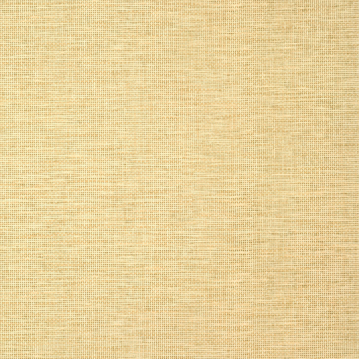 Thibaut Spiro Straw Wallpaper