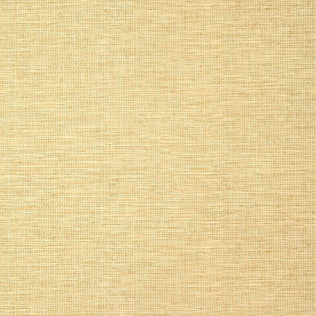 Thibaut Spiro Straw Wallpaper