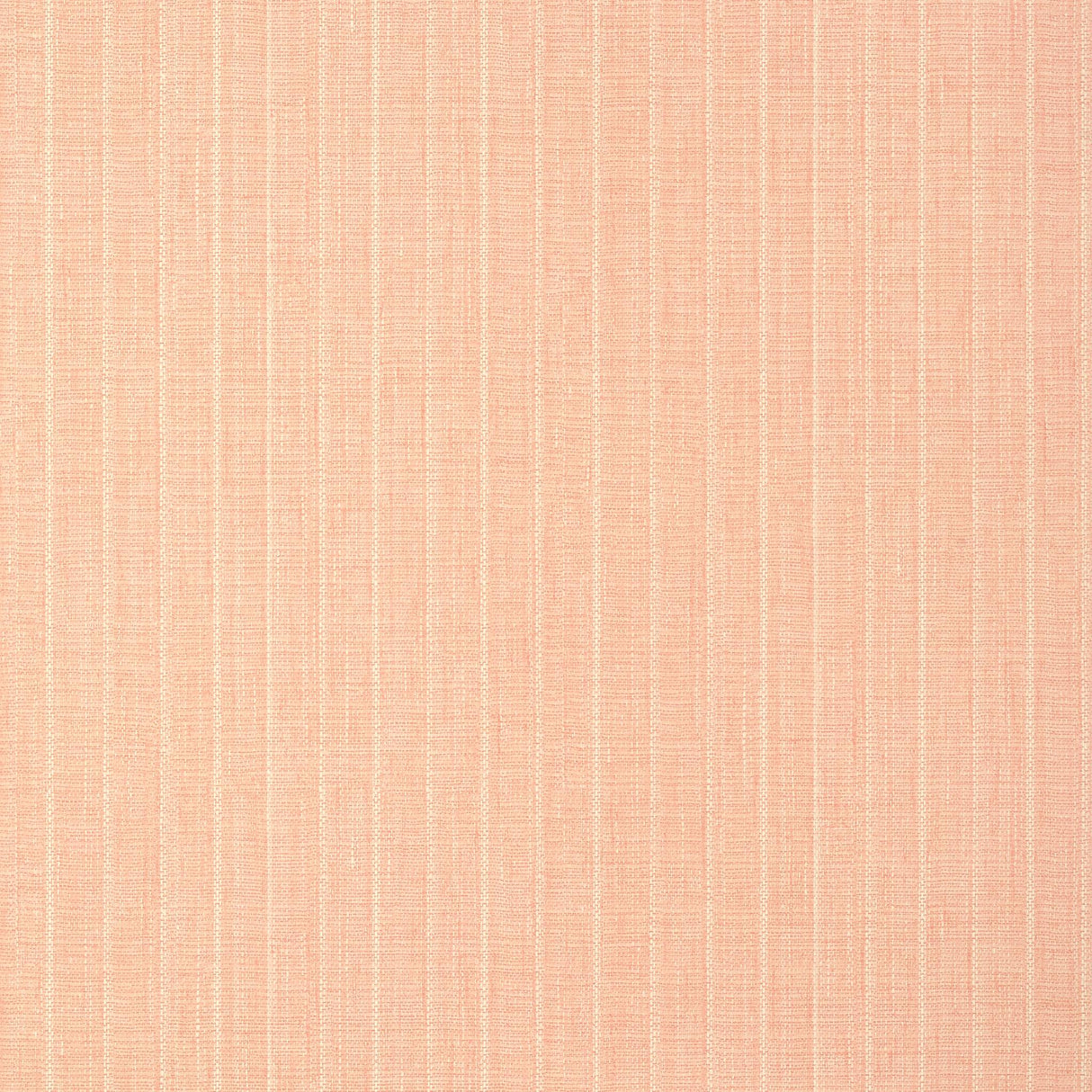 Thibaut WOOLSTON Coral Wallpaper