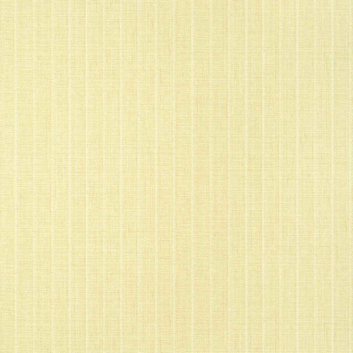 Thibaut WOOLSTON Yellow Wallpaper