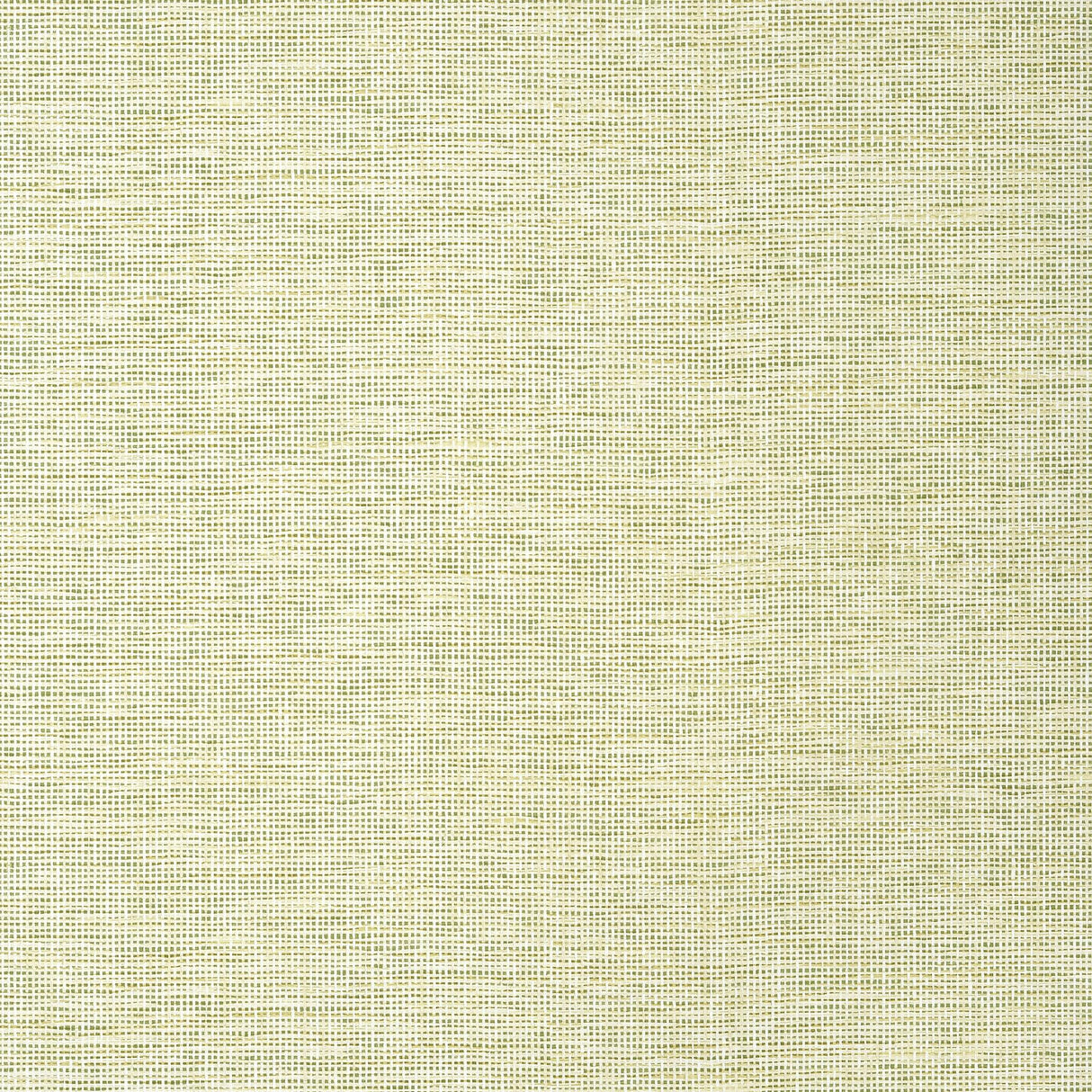 Thibaut SPIRO Spring Wallpaper