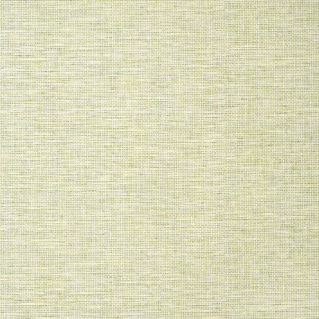Thibaut SPIRO Spring Wallpaper