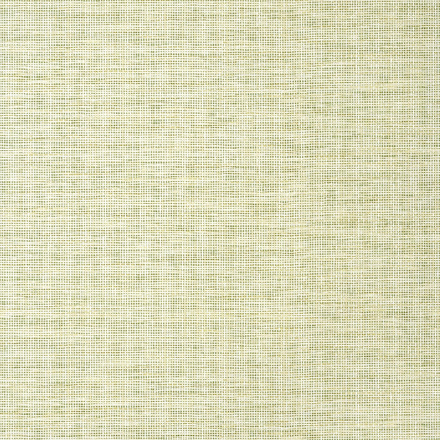 Thibaut SPIRO Spring Wallpaper