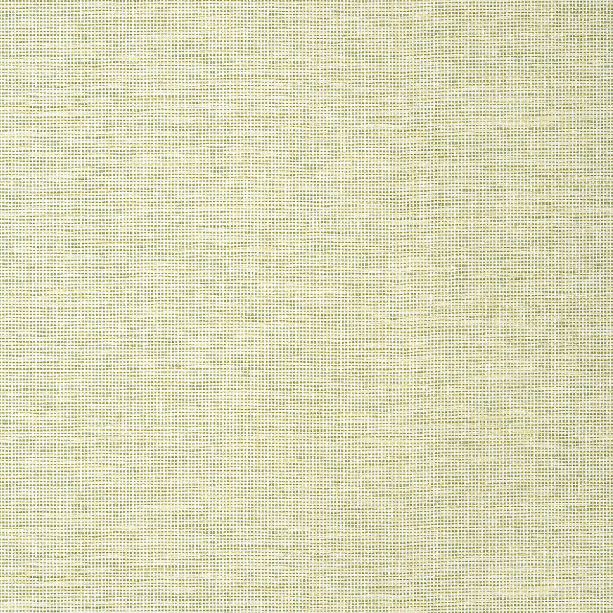 Thibaut Spiro Spring Wallpaper