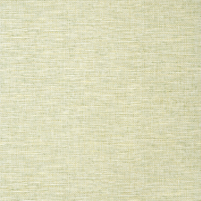 Thibaut Spiro Spring Wallpaper
