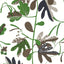 Thibaut MATISSE LEAF Black and Green Wallpaper