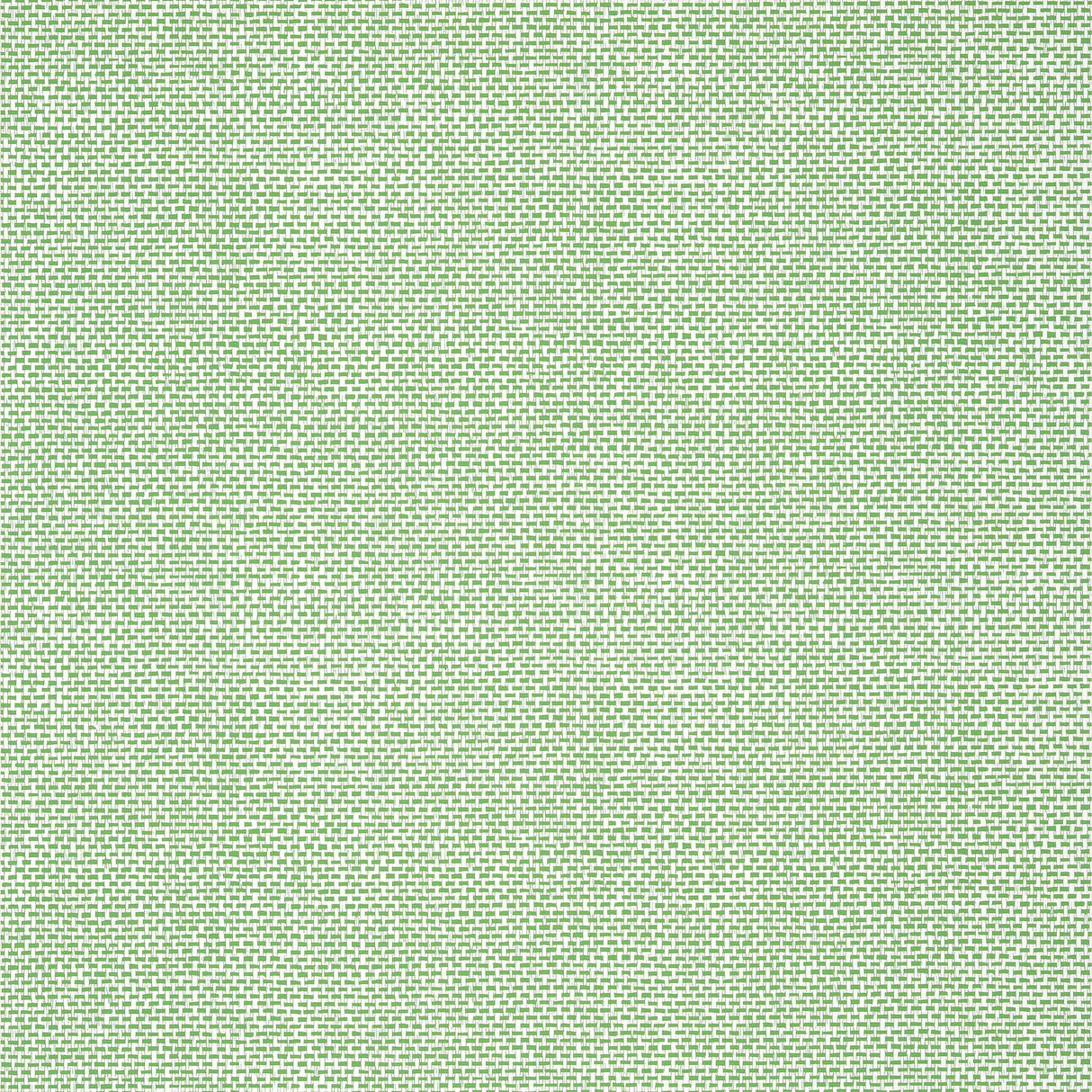Thibaut PALAWAN Green Wallpaper