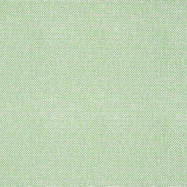 Thibaut PALAWAN Green Wallpaper