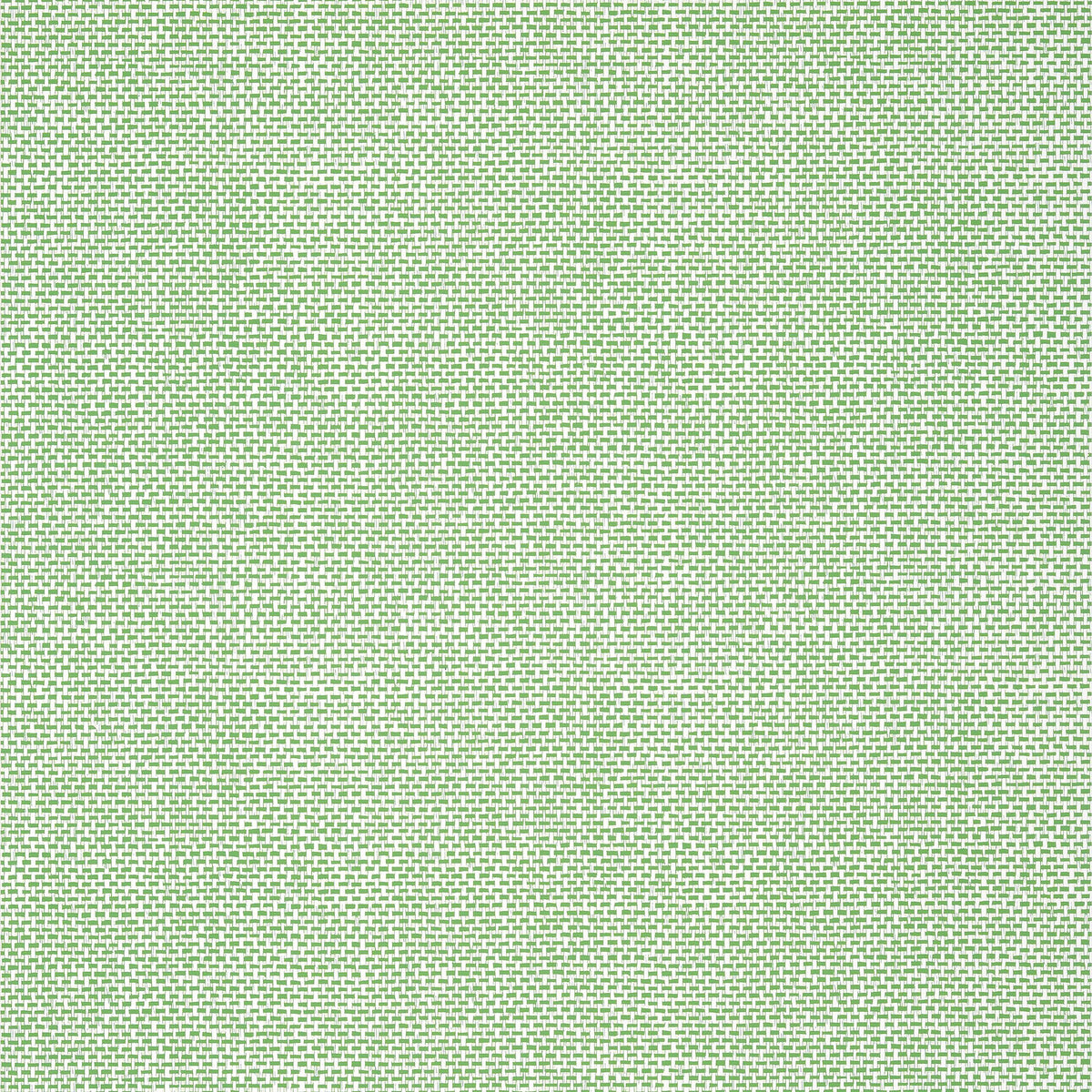 Thibaut Palawan Green Wallpaper