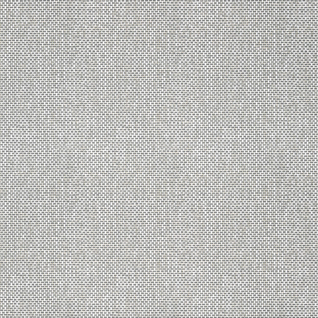 Thibaut Palawan Charcoal Wallpaper